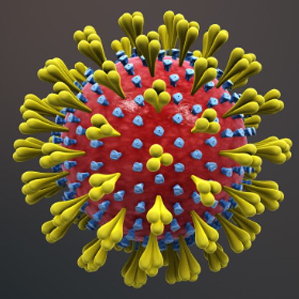 العدوى المستجدة بفيروس كورونا الذي يسبب COVID-19 